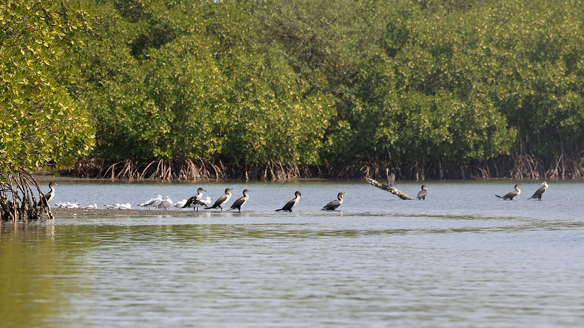 Kartong Gambia
